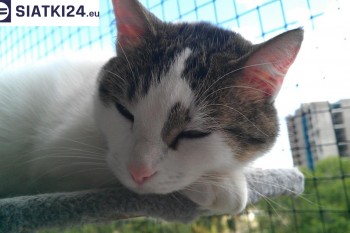 Siatki Kraśnik - Siatka na balkony dla kota i zabezpieczenie dzieci dla terenów Kraśnika